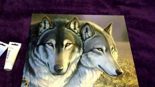 Волк акриловыми красками