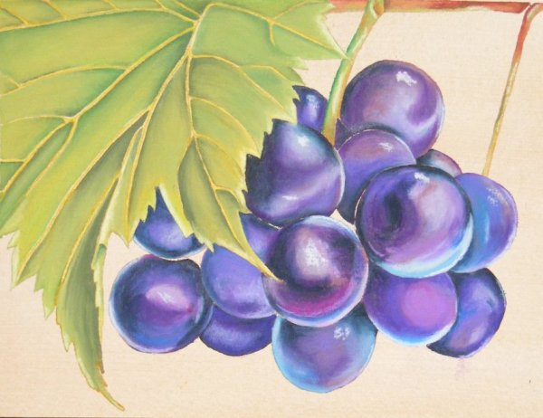 Виноград для рисования