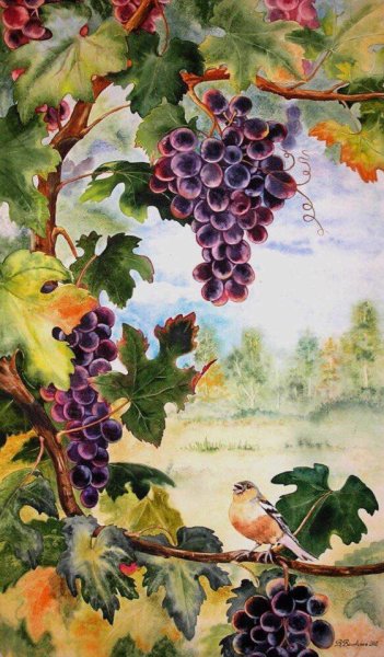 Виноградник картина
