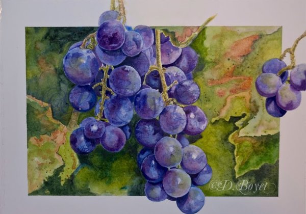 Виноград акварелью для начинающих