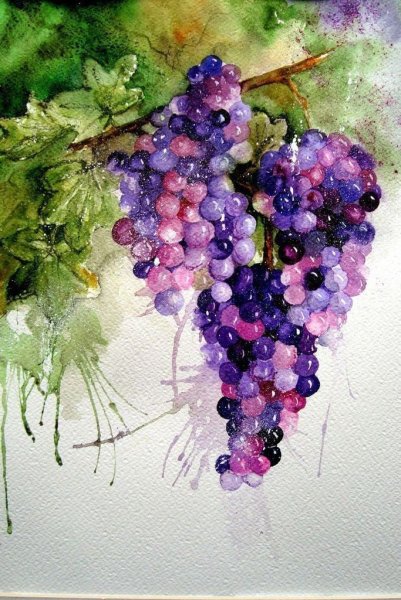 Виноград гуашью
