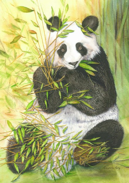 Панда живопись