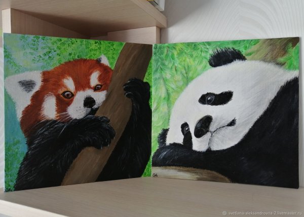 Панда картина акрилом