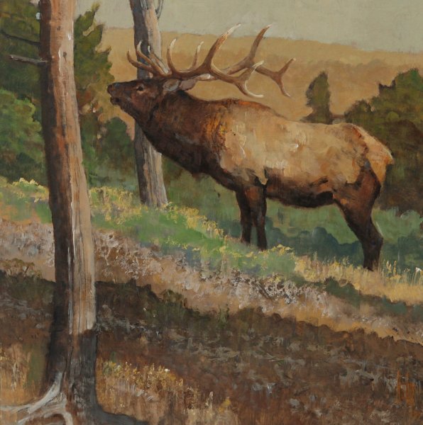 Лось акрилом на картинах