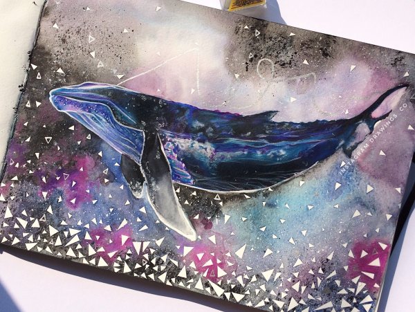 Киты Анастасия Аблогина