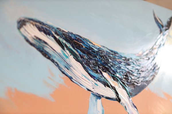 Космический кит акрилом