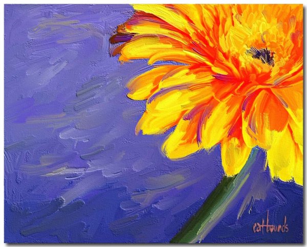 Герберы акрилом