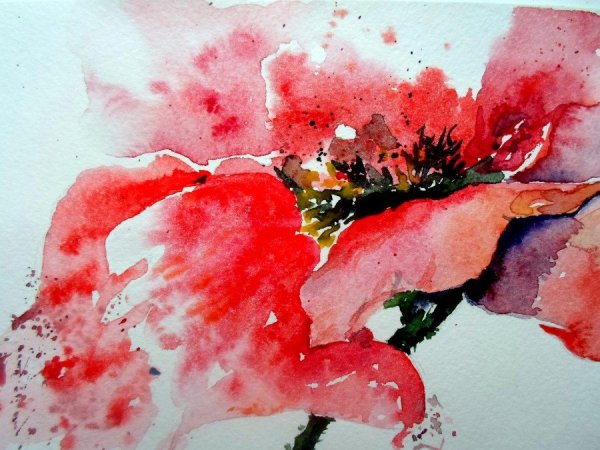 Маки монотипия