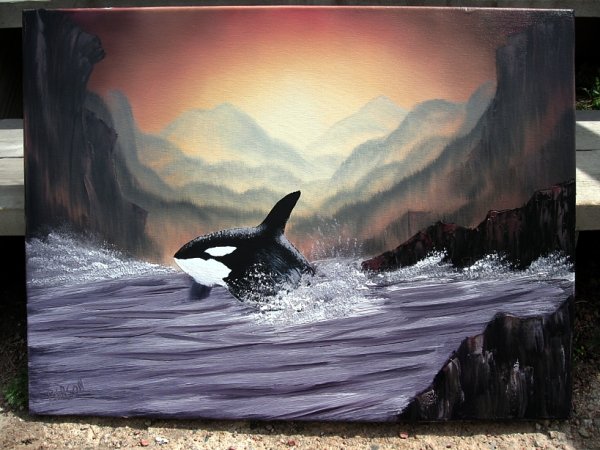 Касатка маслом