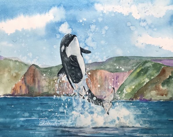 Dmitrienko Касатка художник