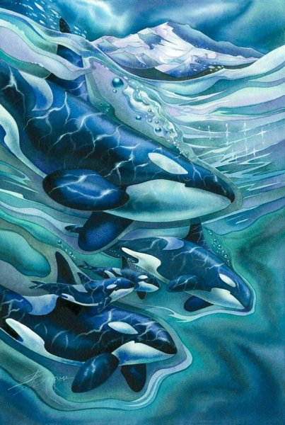 Море Бергсма художник