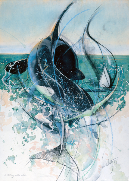 Касатка акварель