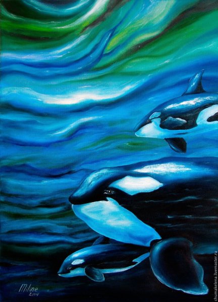 Касатка красками