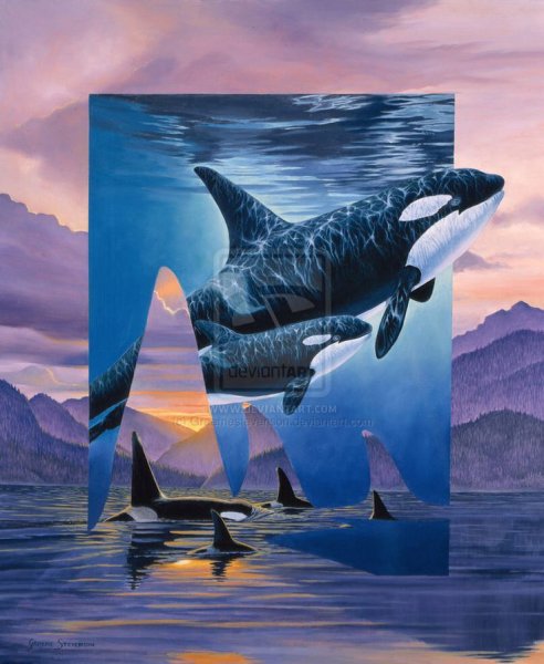 Акула картина