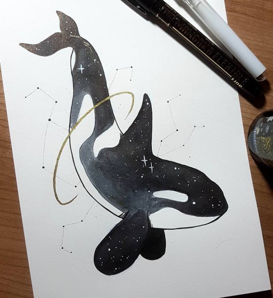 Касатка рисунок тату