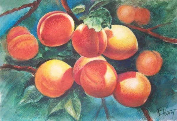 Персик акварелью