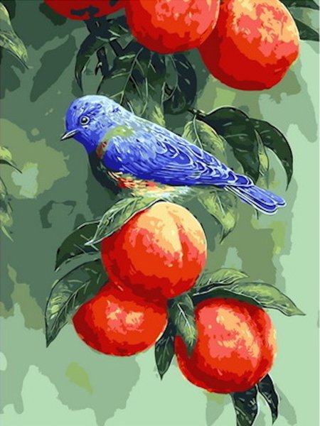 Алмазная мозаика птички