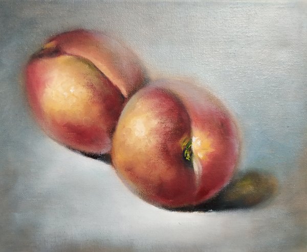 Персики живопись маслом