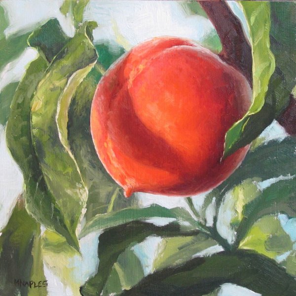 Этюд фруктов акварелью персики