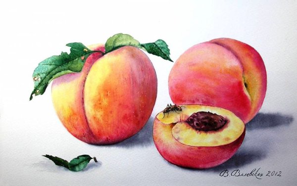 Персик гуашью