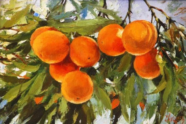 Мандариновое дерево живопись