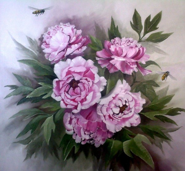 Пионы Карстен бурхарт