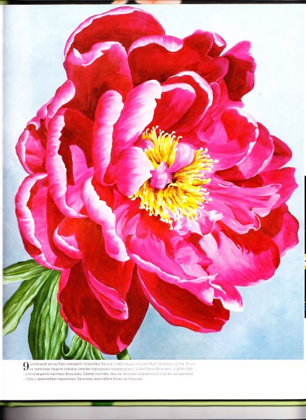 Пионы акрилом