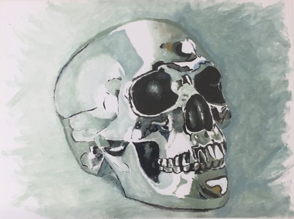 Череп рисунок акварель
