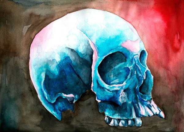 Череп красками