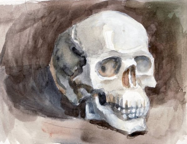 Череп гуашью