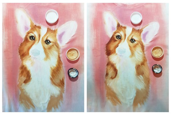 Корги красками