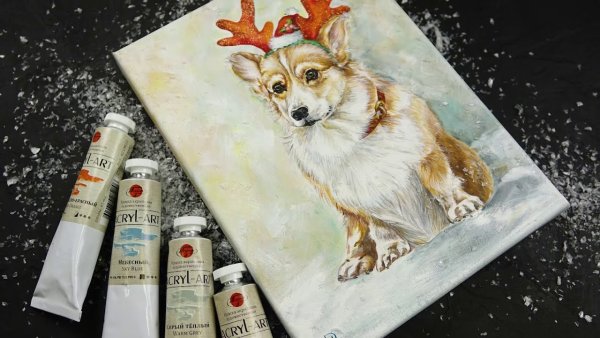 Корги акрилом