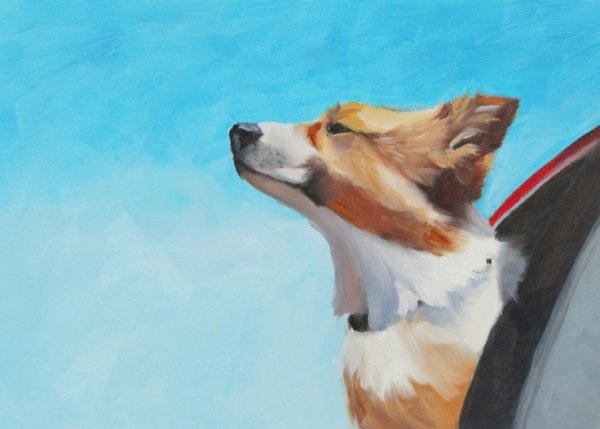 Корги акрилом