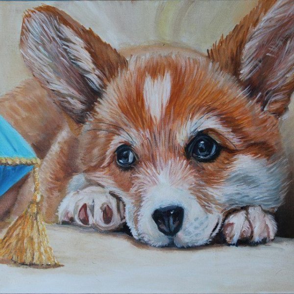 Корги картина маслом