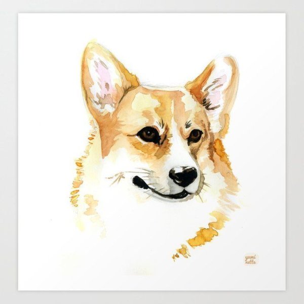 Тату с корги пемброк