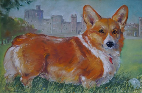 Корги художник