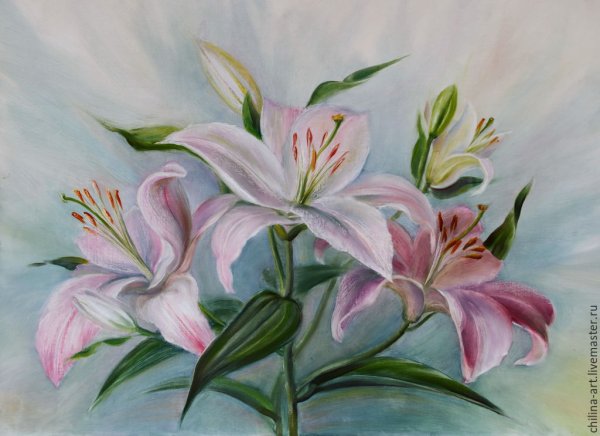 Лилии красками
