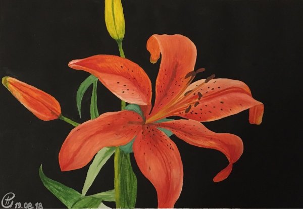 Лилия Шелл художник