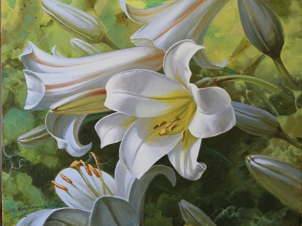 Лилия Торопова художник