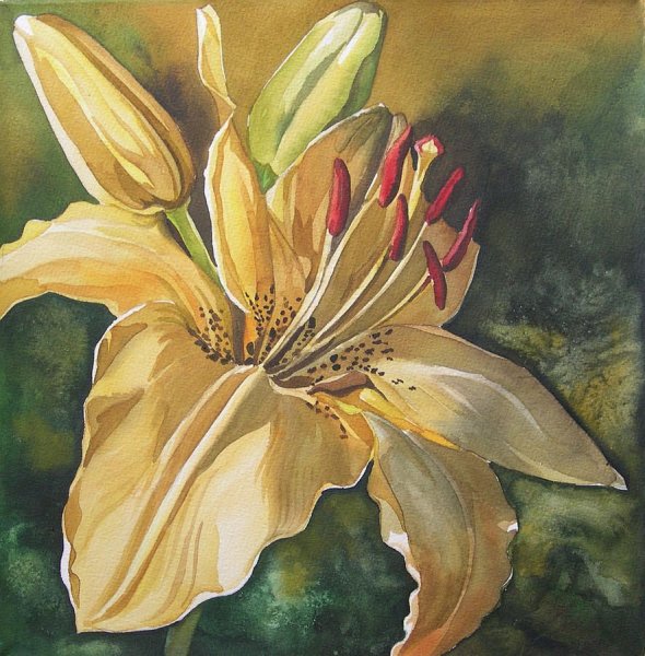 Мандрыкин акварелист желтые лилии