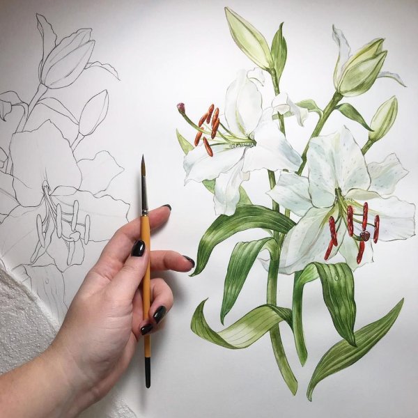 Ботаническая живопись акрилом