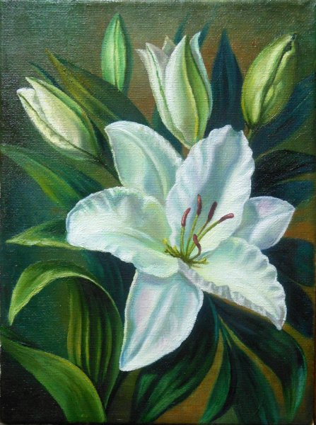 Белые лилии живопись