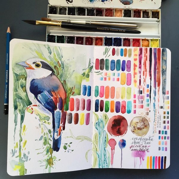 Акварелью для скетчбука