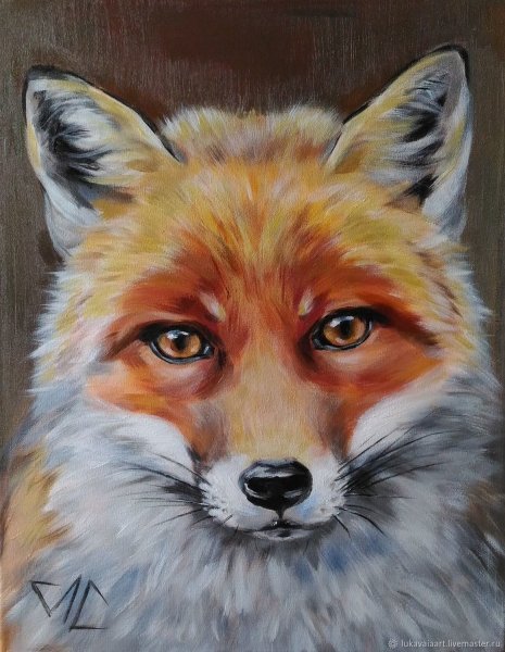 Лисы на холсте