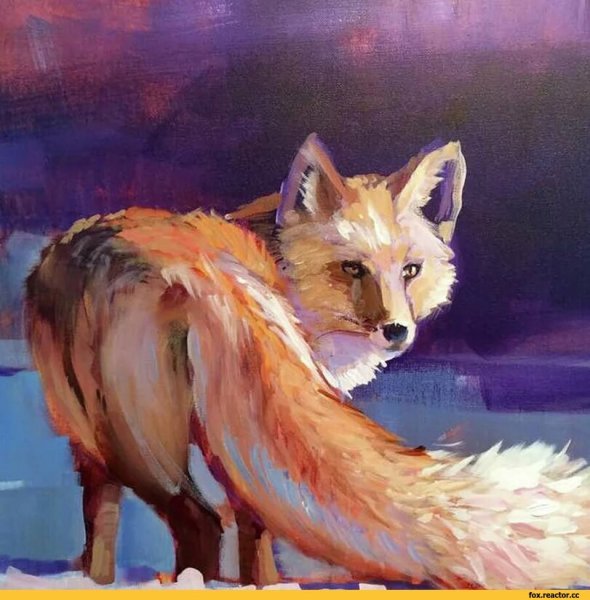 Лисы живопись