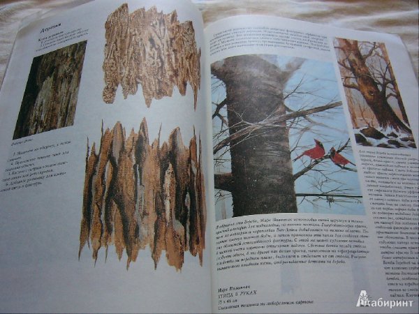 Книги по рисованию акрилом