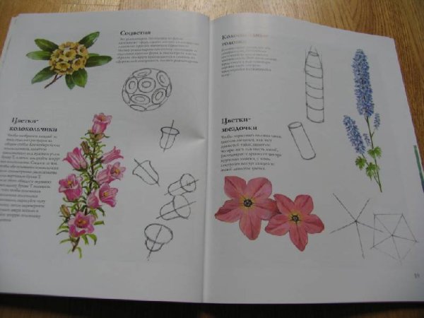 Рисование цветов книга