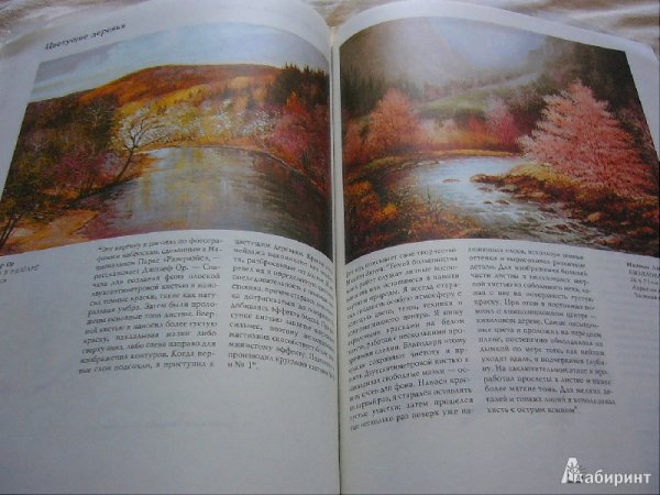 Книга рисуем акриловыми красками