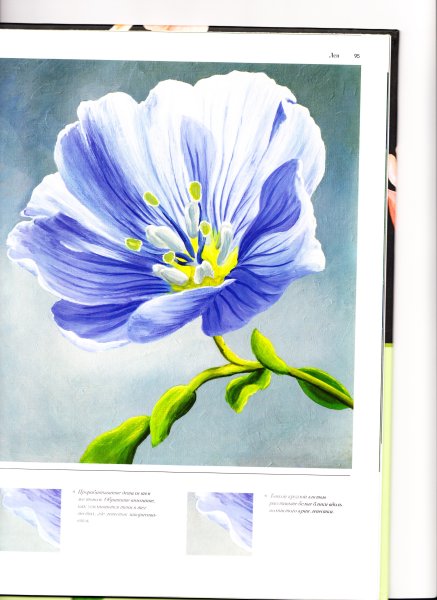 Книга масляная живопись