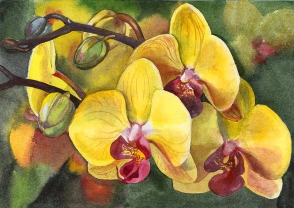 Орхидея акрилом